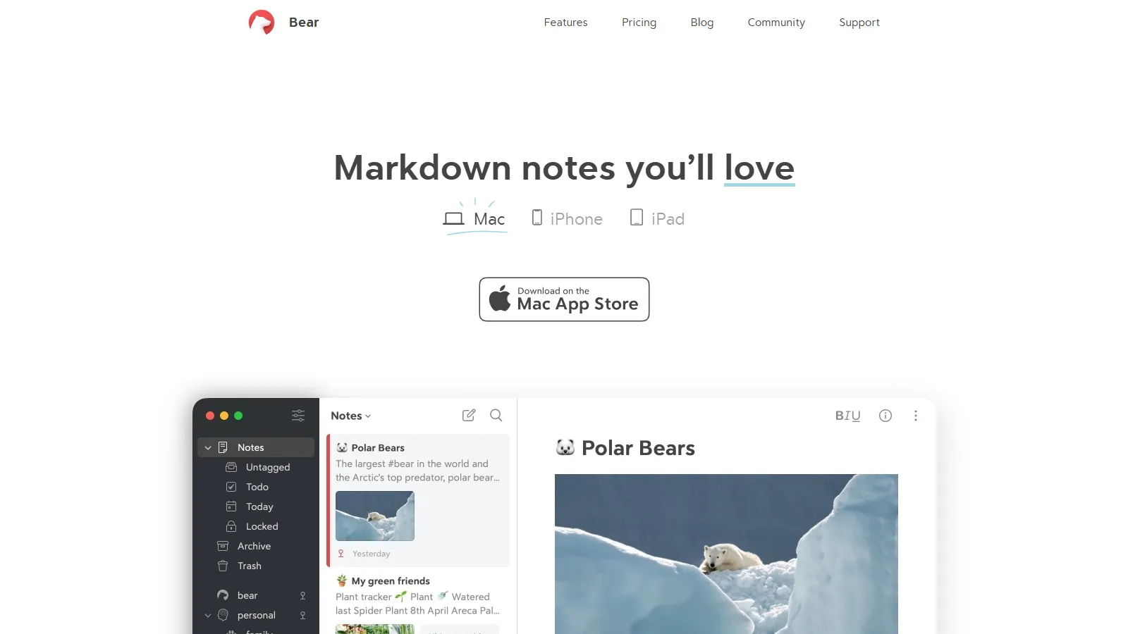 Bear Markdown writing