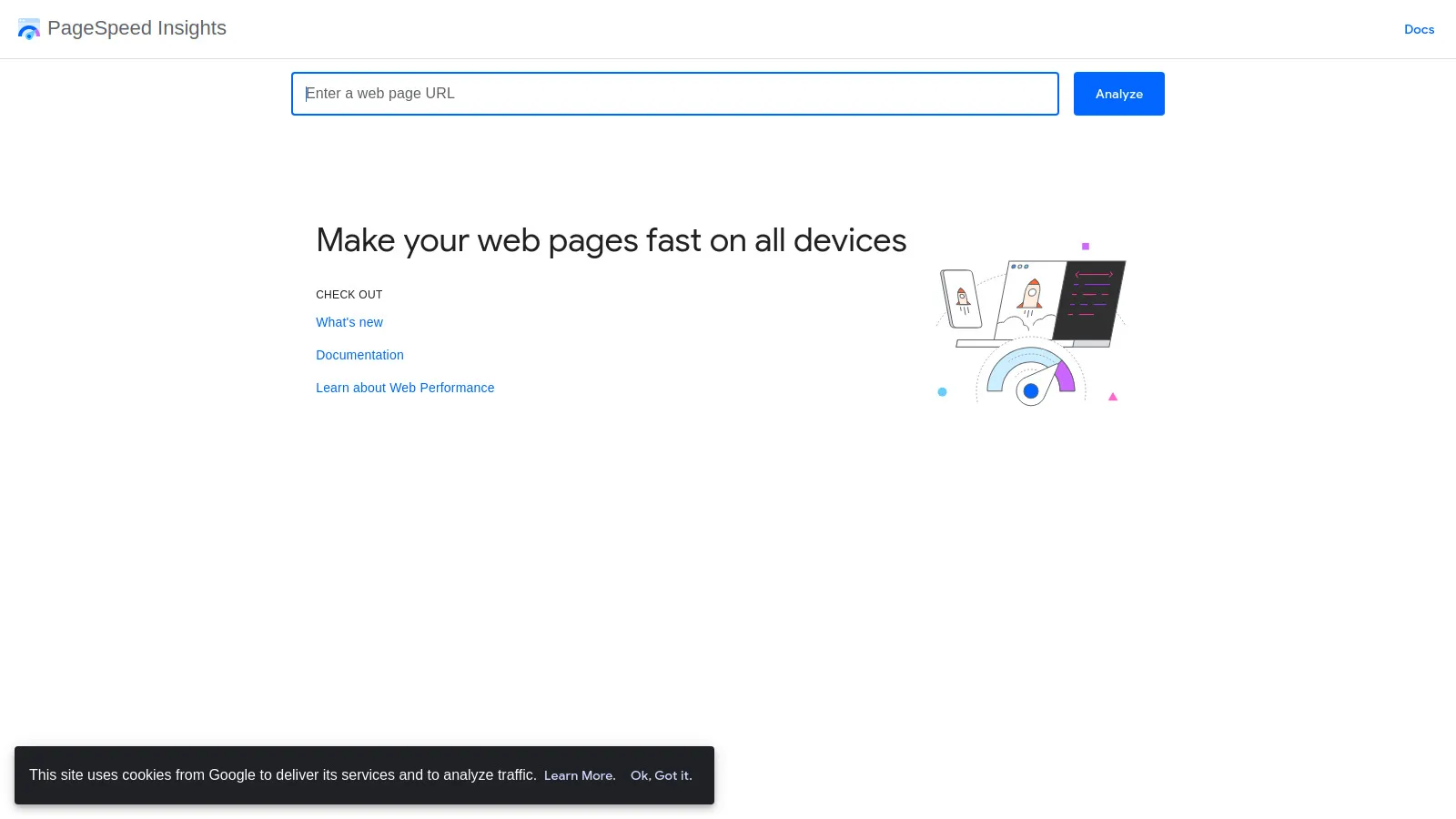 PageSpeed Insights showing Core Web Vitals scores and optimization recommendations