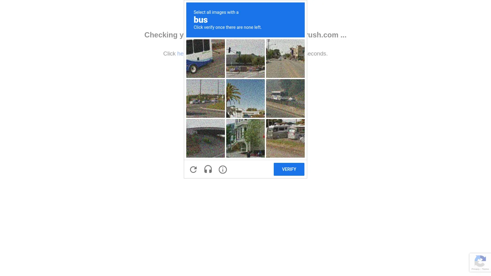 SEMrush My Reports showing white-label PDF generation from SEO data