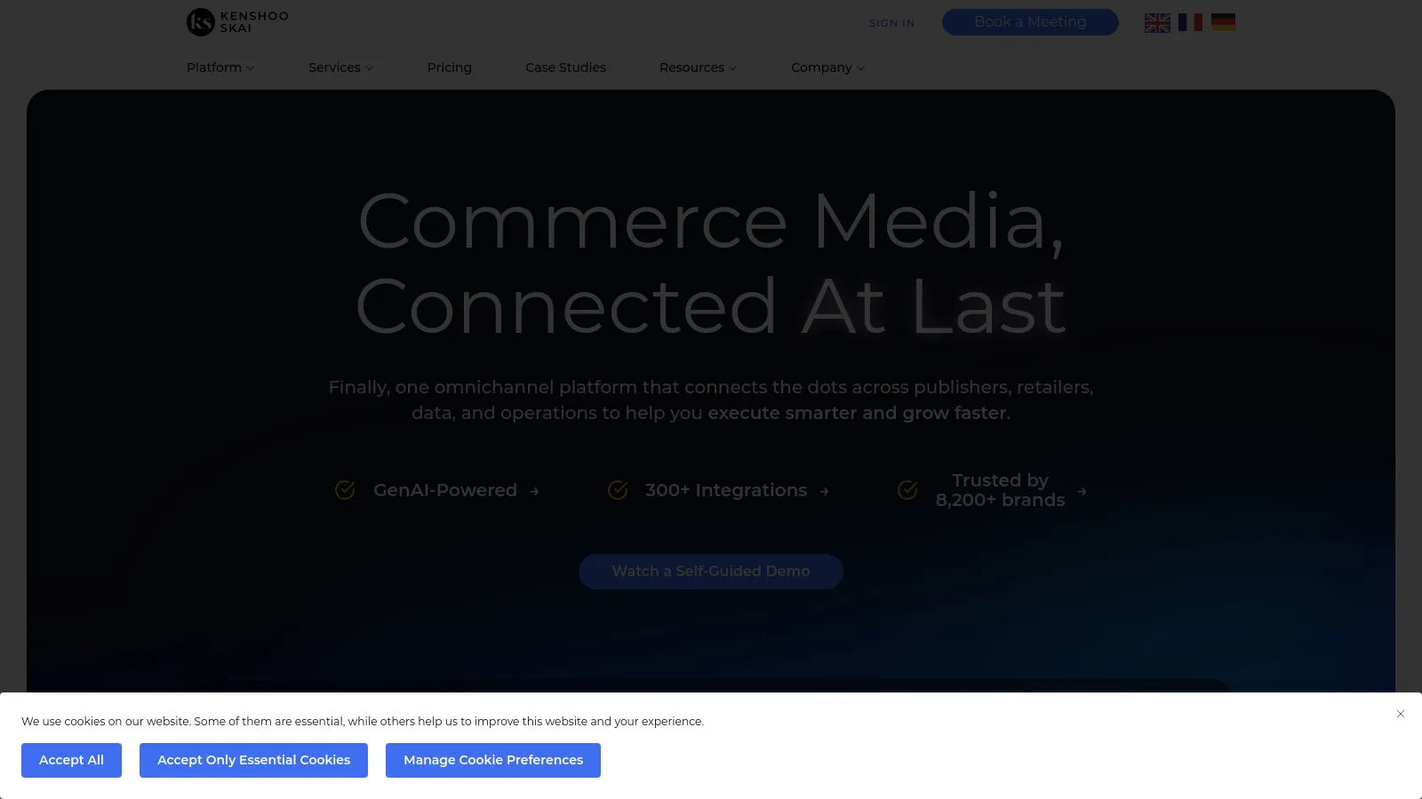 Skai enterprise cross-channel advertising platform