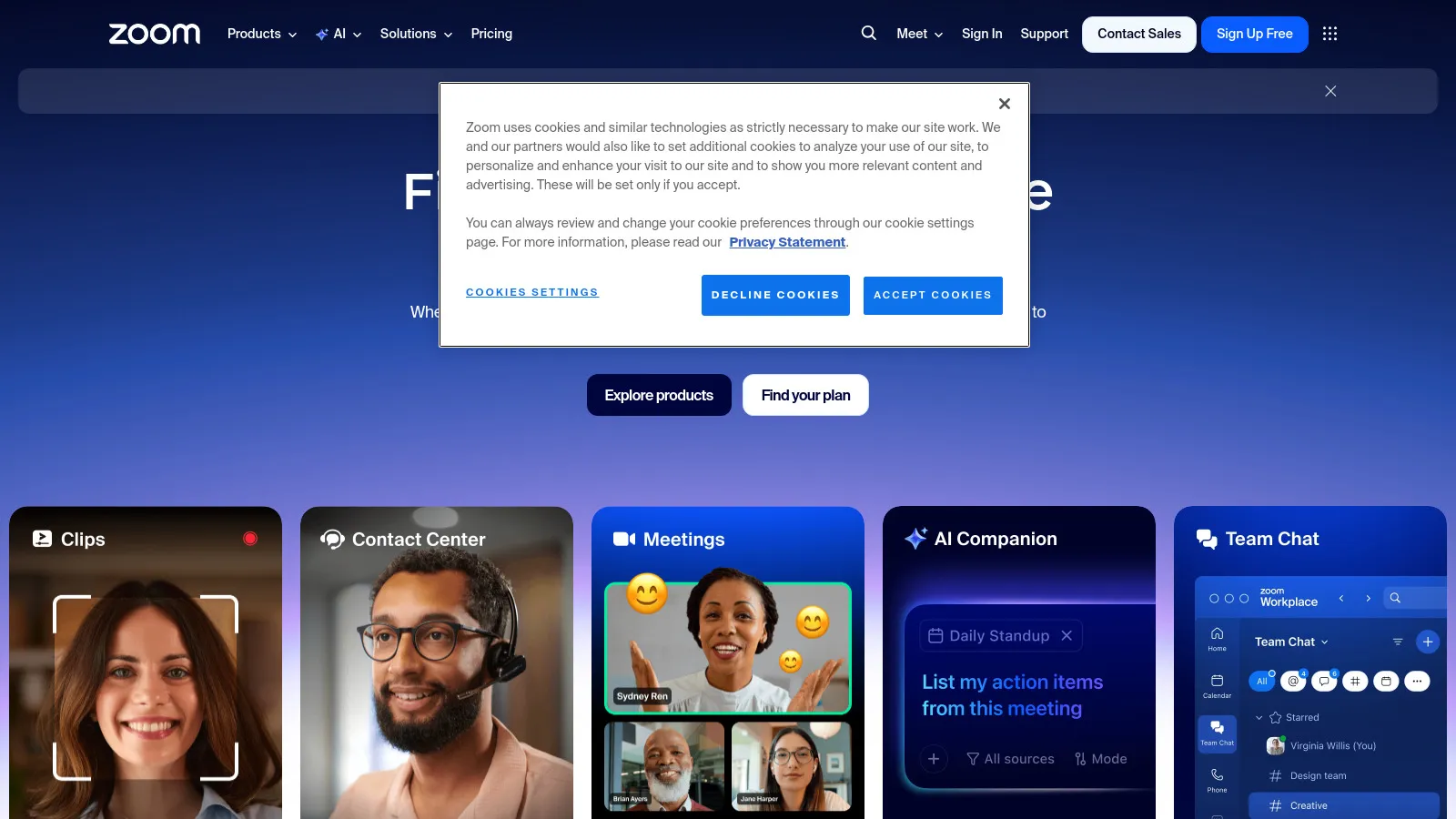 Zoom video meeting interface